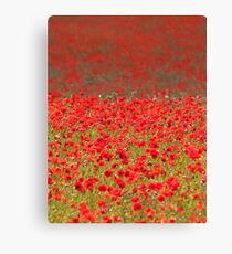 Red Carpet Canvas Print