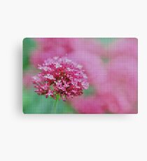 Summer Garden Metal Print