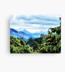 Lienzo Mountain Views