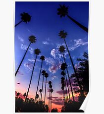 California Sunset Poster