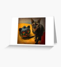 Happy Halloween Kitties Greeting Card