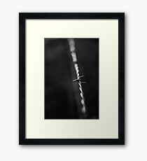 Barbed wire Framed Print