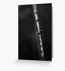 Barbed wire Greeting Card