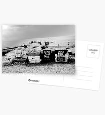 Oysters Postcards