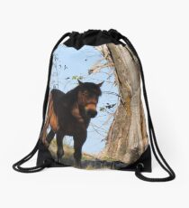 Brumby Drawstring Bag