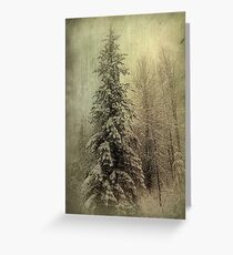 Winter Greeting Card