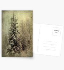Winter Postcards