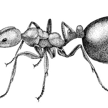 Ant Design System for Figma - UI Kit