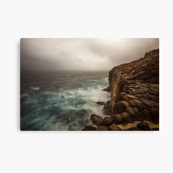 Petrified Forest Canvas Print