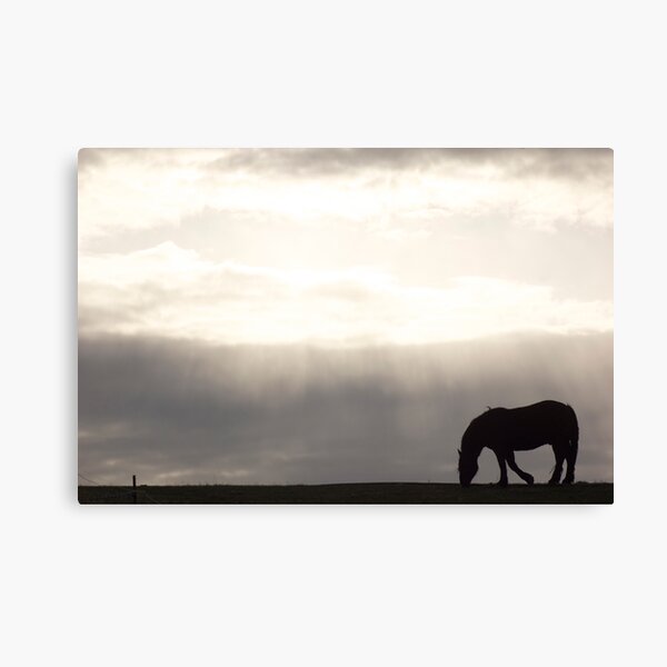 Dusk & Dew Canvas Print