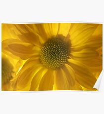 Floral joyful feelings and love. Poster