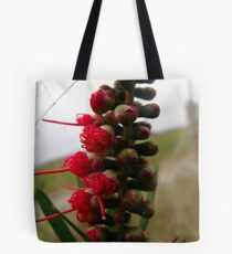 Renewal Tote Bag