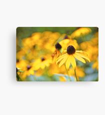 Yellow Flowers Canvas Print