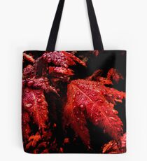 A Time To Come, A Time Of The Past Tote Bag