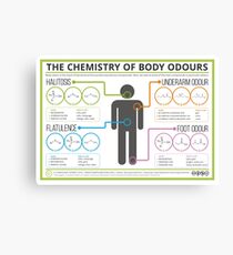 The Chemistry of Body Odours Canvas Print