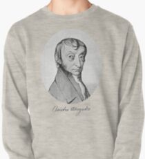 Professor Avagadro Pullover