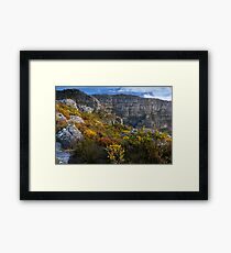 Top of Table Mountain Framed Print