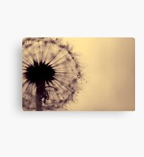 dusk Canvas Print