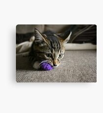 Purple Ball Canvas Print