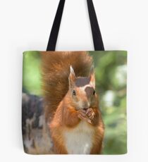 Pretty squirrel is pretty Tote Bag