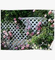 Rosalee Cottage Garden Poster