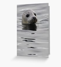 Seal head Greeting Card