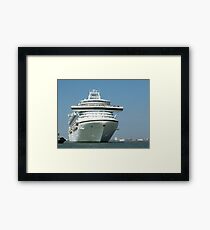Liner Framed Print
