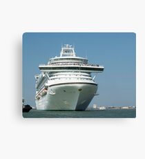 Liner Canvas Print