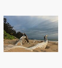 MCC Drifting Photographic Print