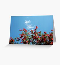 Bottle Brush In Spring Two Greeting Card