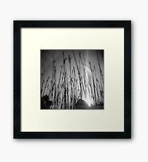 Wheat Sun Framed Print