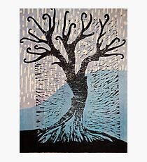 Treeees Photographic Print