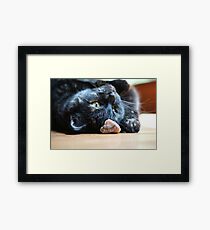 Playing Cat Framed Print