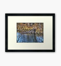 Home on the Creek Framed Print
