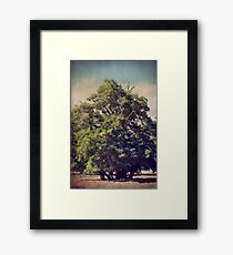 For All We Had Framed Print