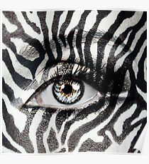 Zebra Poster