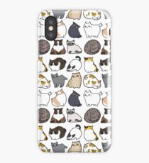 Cats Cats Cats iPhone Case