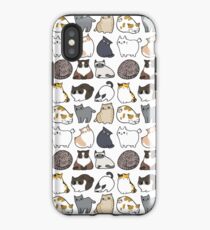 Cats Cats Cats iPhone Case