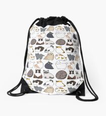 Mochila saco Gatos Gatos Gatos