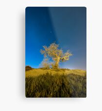Ghost Tree Metal Print