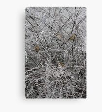 Christmas Card No.4 Canvas Print