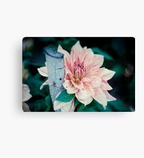 Flower Closeup Canvas Print