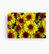 Flowers Canvas Print