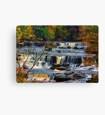 Aysgarth Falls Canvas Print