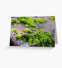 Tiny World Greeting Card