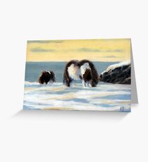 Ponies in the snow Greeting Card