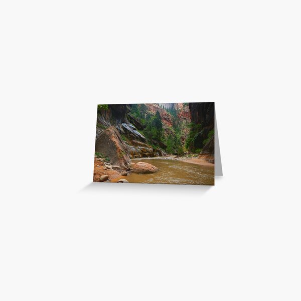 Desert Exotica Greeting Card