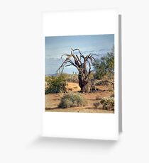 Gnarly Tree Greeting Card