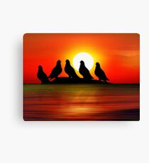 Birds at Sunset point Canvas Print