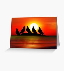 Birds at Sunset point Greeting Card